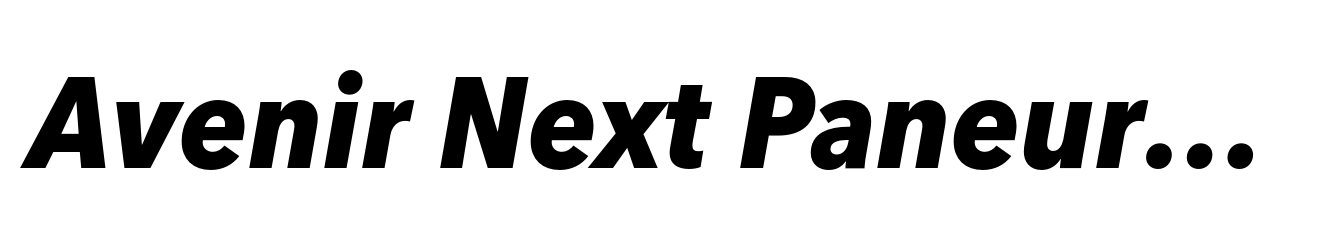 Avenir Next Paneuropean SemiCondensed ExtraBold Italic